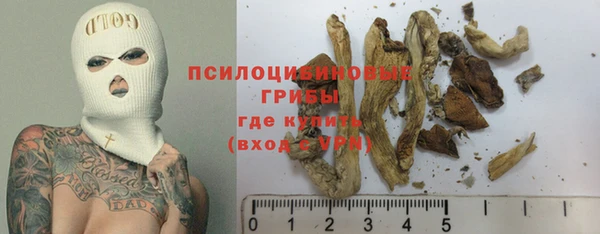 стаф Алексин