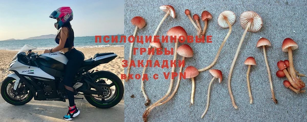 стаф Алексин
