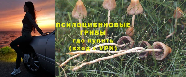 стаф Алексин